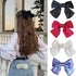 Bow Knot Hair Clip